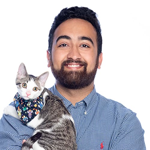 Dr. Nitish Munamala, Clinton Township Veterinarian